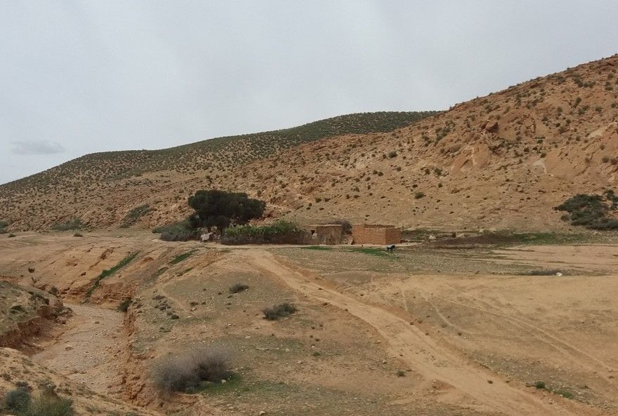 marroc-oriental-p